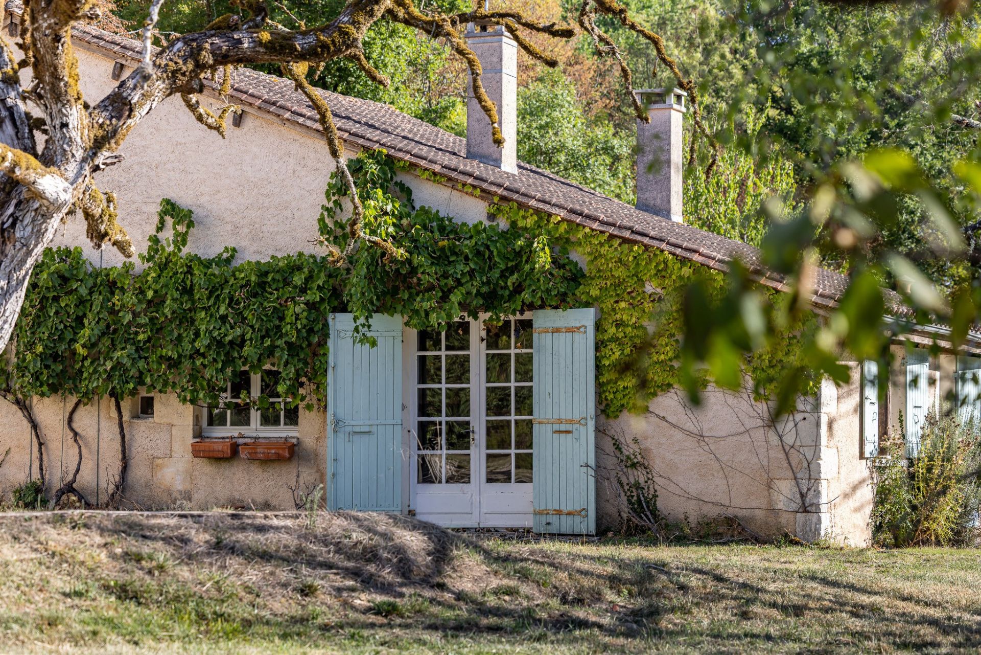 house 23 Rooms for sale on ST ASTIER (24110)