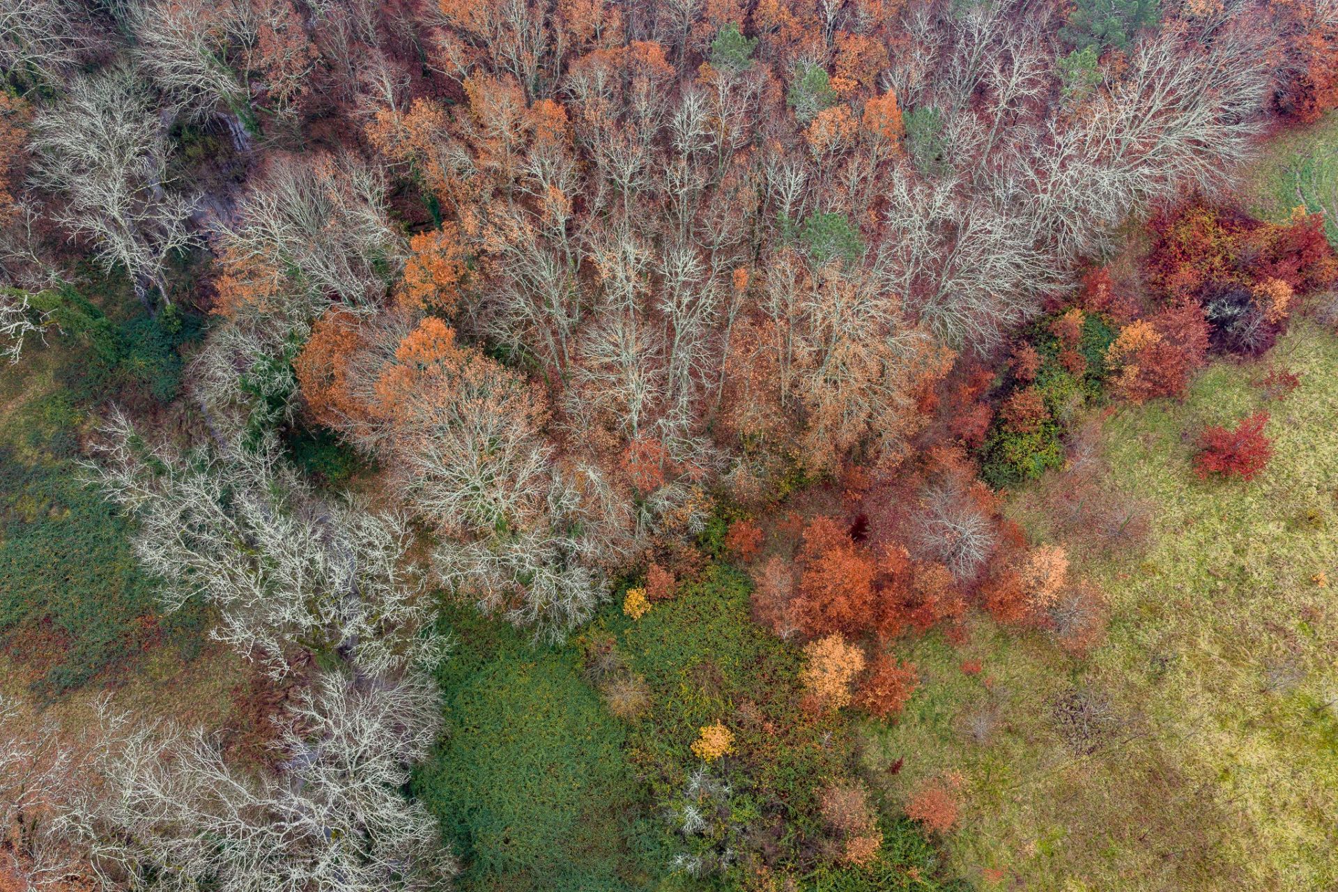 house 23 Rooms for sale on ST ASTIER (24110)