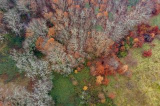 house 23 Rooms for sale on ST ASTIER (24110)