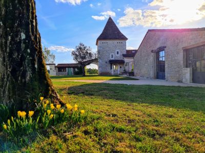 Sale House Fumel 20 Rooms 735 m²