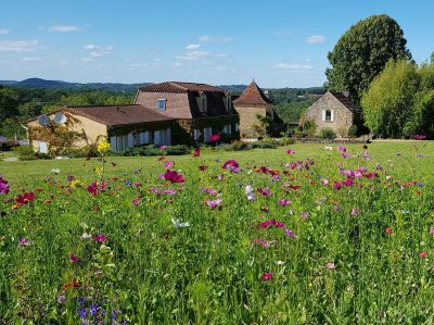 Vente Maison Siorac-en-Périgord 15 Pièces 413 m²