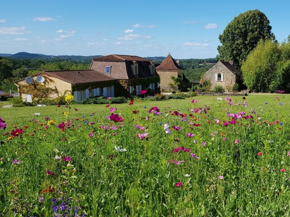 Sale House Siorac-en-Périgord 15 Rooms 413 m²