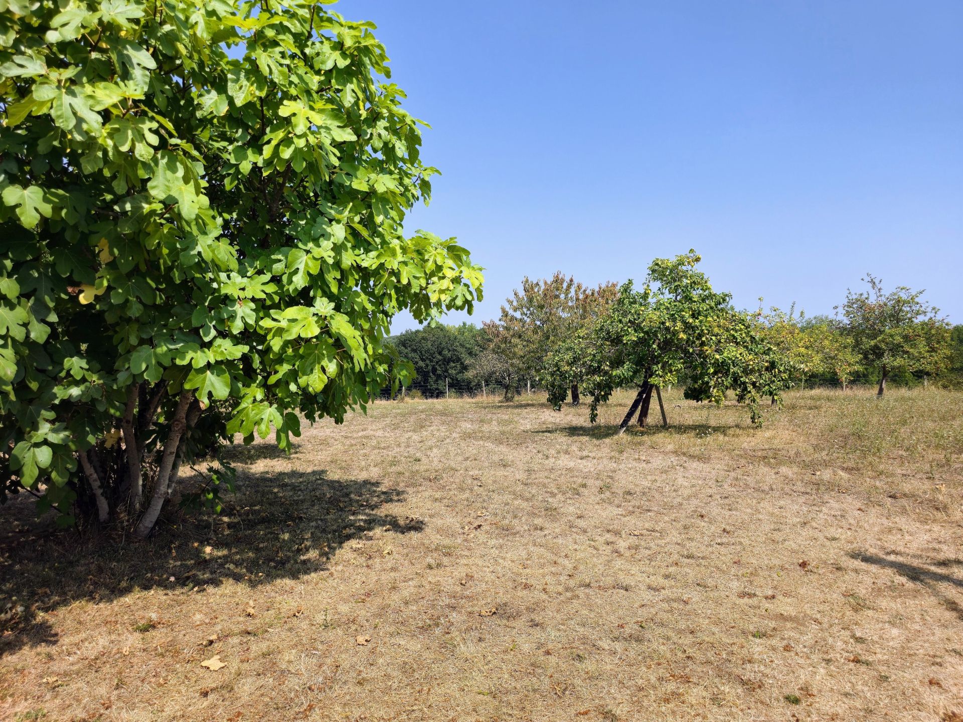 maison 10 Pièces en vente sur PERIGUEUX (24000)