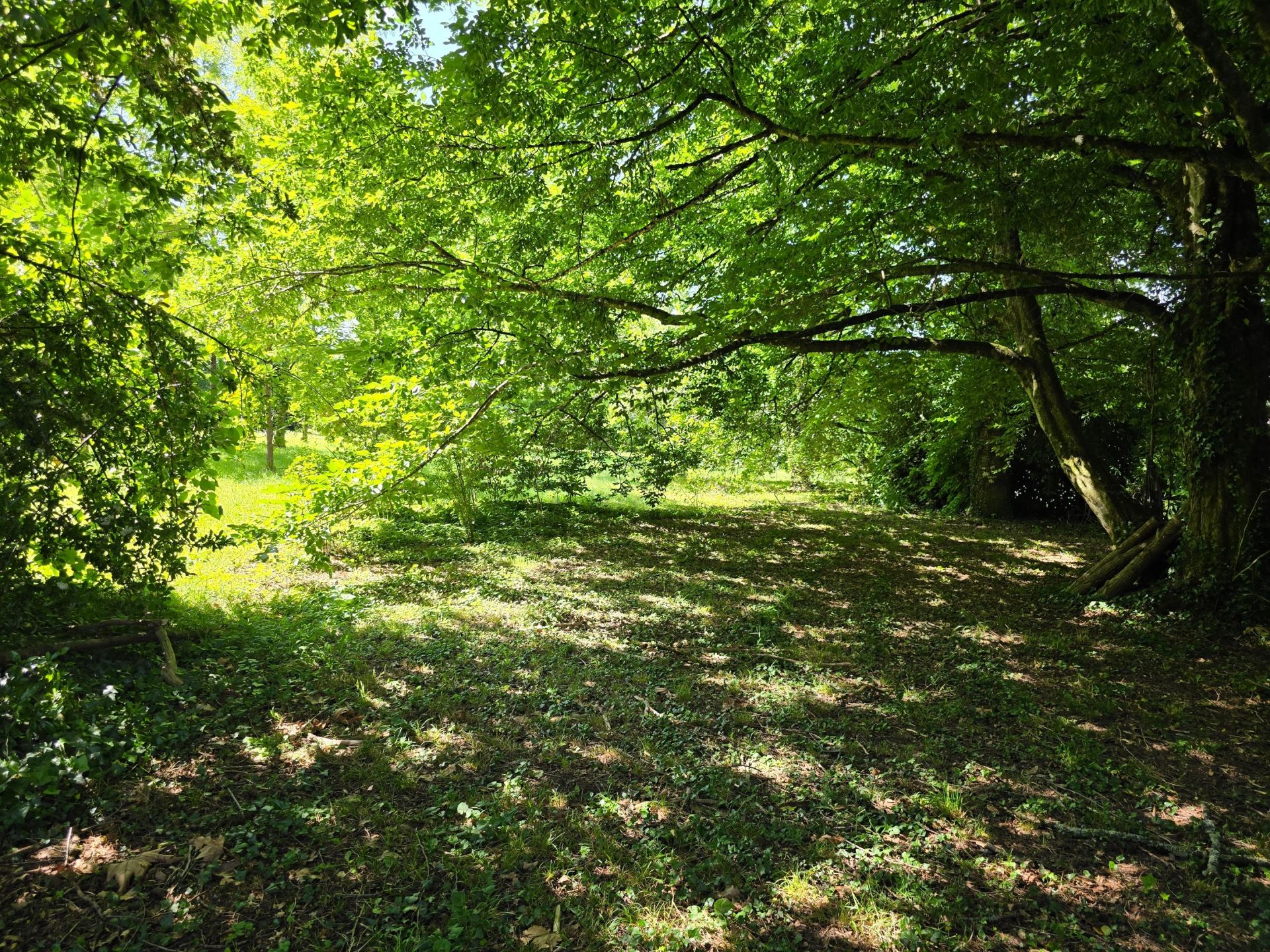 maison 10 Pièces en vente sur NONTRON (24300)