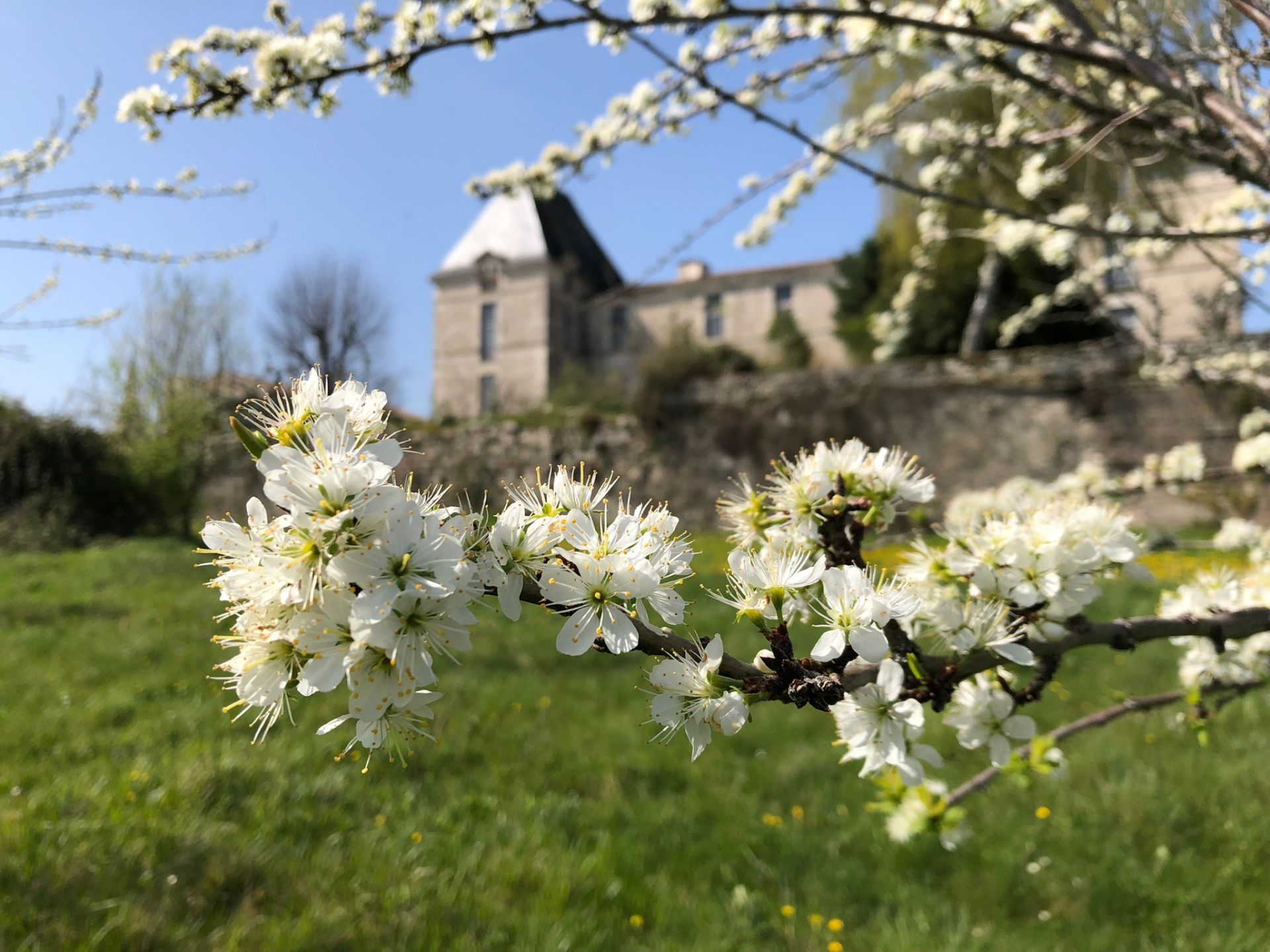 maison 7 Pièces en vente sur BERGERAC (24100)