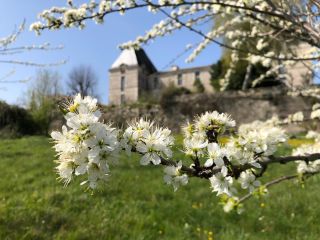 house 7 Rooms for sale on BERGERAC (24100)