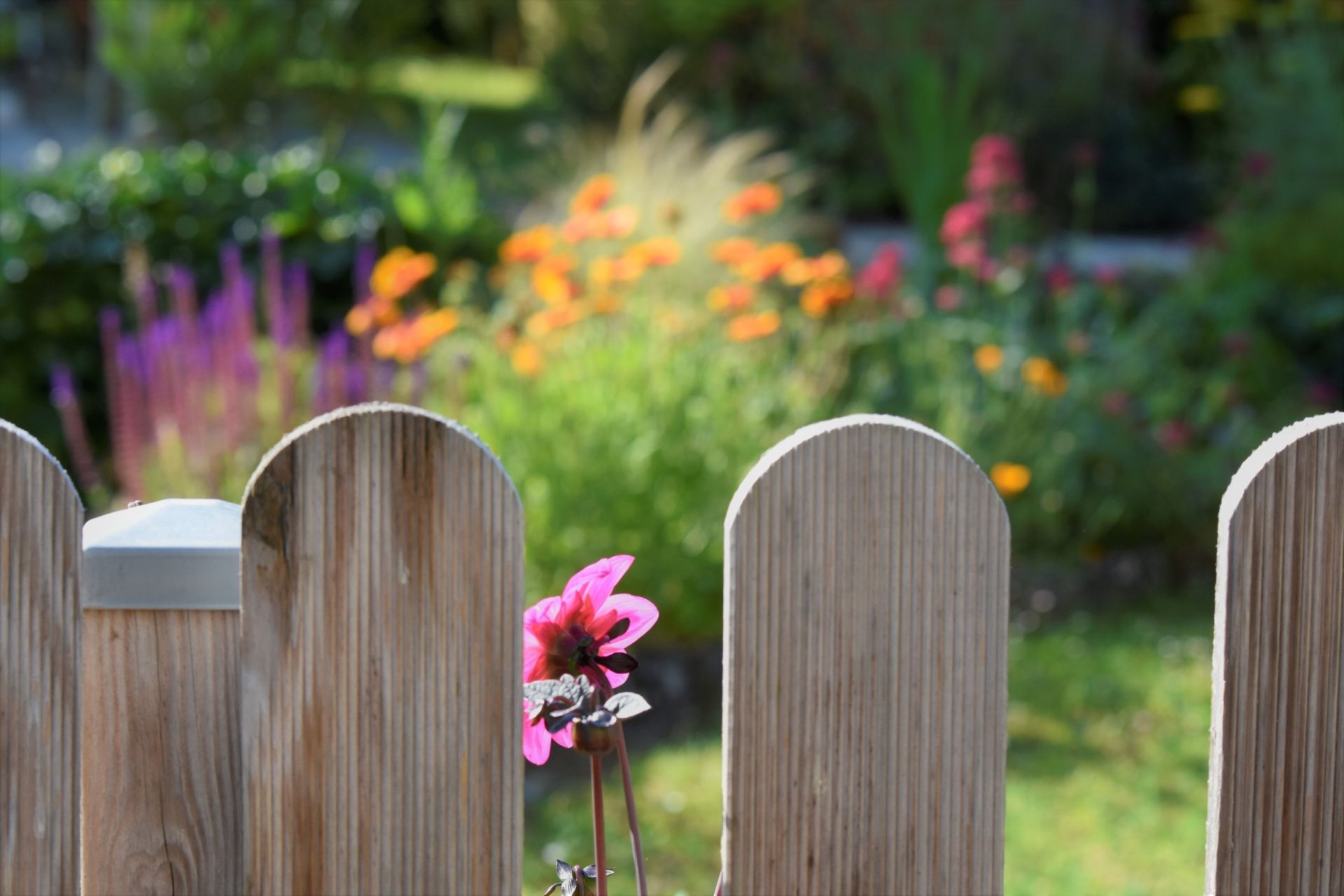 maison 19 Pièces en vente sur PERIGUEUX (24000)