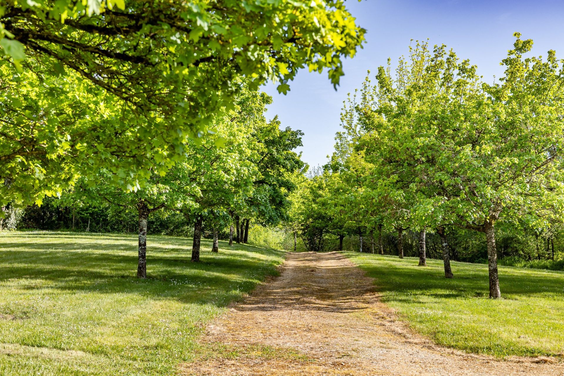 house 15 Rooms for sale on PERIGUEUX (24000)