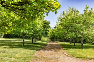 house 15 Rooms for sale on PERIGUEUX (24000)