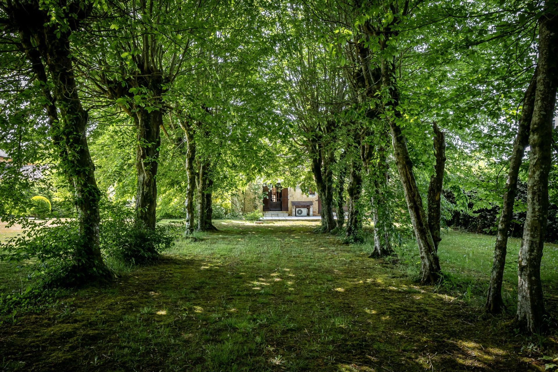 maison 15 Pièces en vente sur VERGT (24380)
