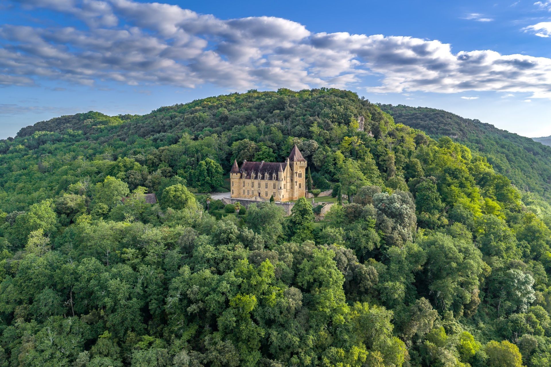 château 32 Pièces en vente sur SARLAT LA CANEDA (24200)