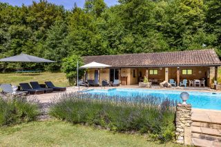 maison 15 Pièces en vente sur LES EYZIES (24260)