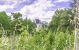 manoir 10 Pièces en vente sur BERGERAC (24100)